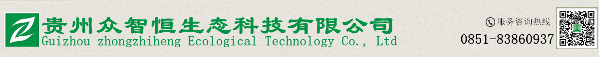 專(zhuān)業(yè)生產(chǎn)智能污水電磁流量計(jì)生產(chǎn)廠(chǎng)家